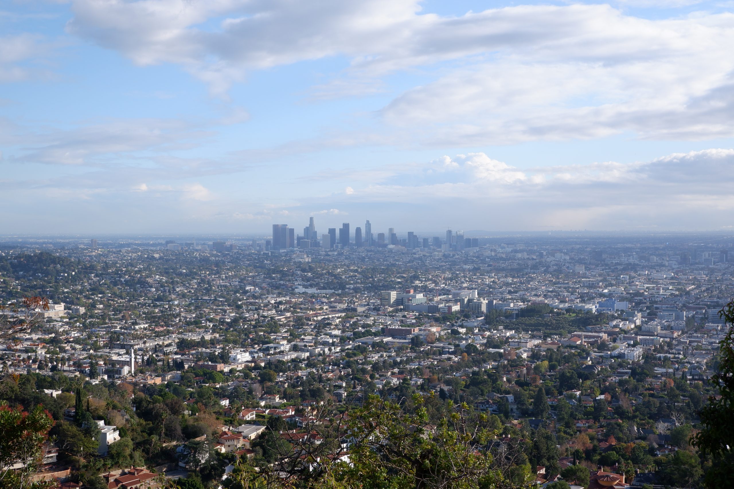 Los Angeles Skyline